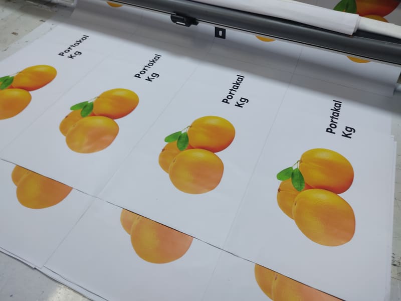 TK_Studio tasarımı, basılmış hâli